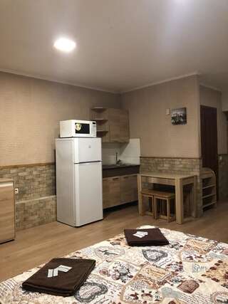 Апартаменты Cool Apartments in the center Харьков Номер-студио с кроватью размера "king-size" и диван-кроватью-3