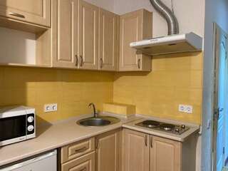 Апартаменты Cool Apartments in the center Харьков Стандартный номер-студио-3